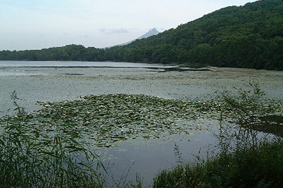 Lake Junsainuma,ݻ