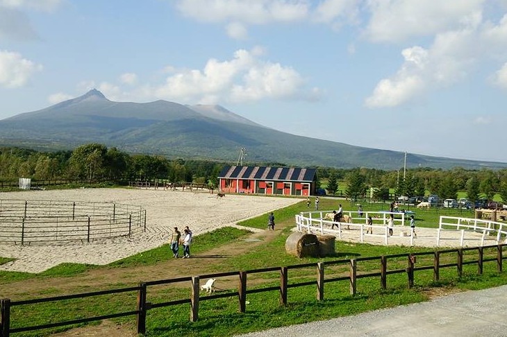 Paard Musee
