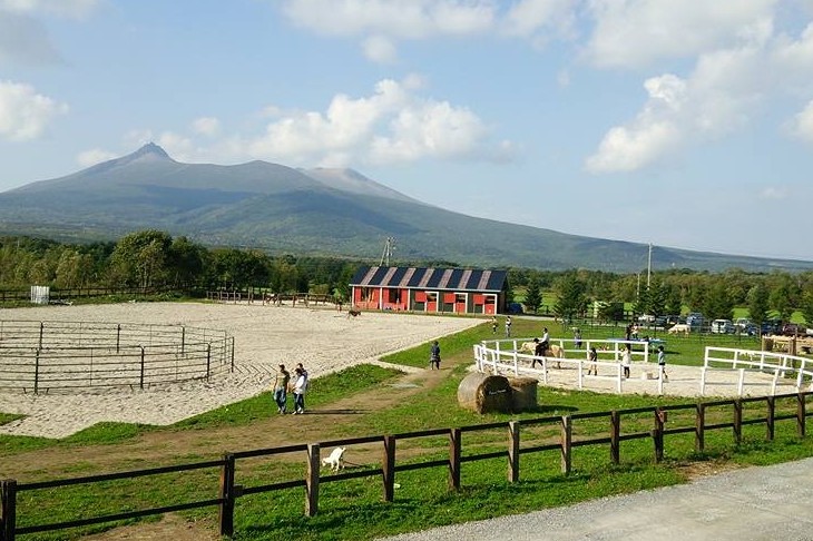 Paard Musee