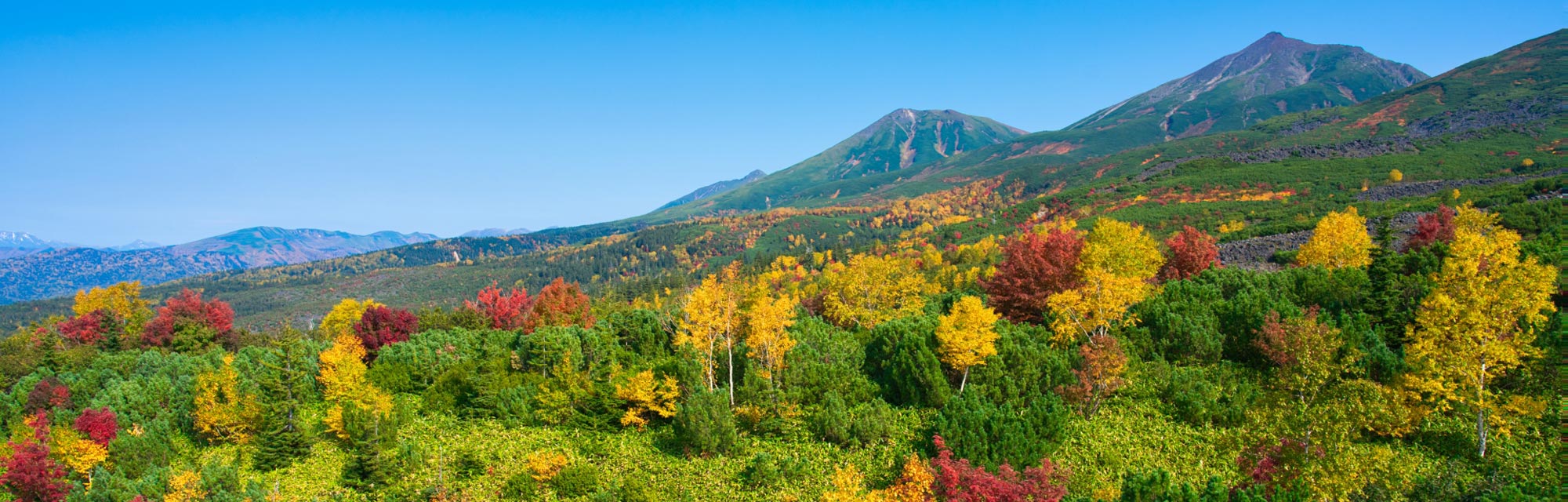 北海道的红叶景点