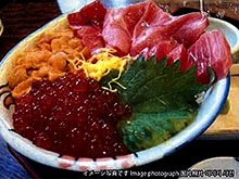 ӡɫǷ(S.¥2000 M.¥2500 L.¥3000)