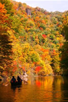 加拿大的獨木舟