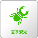ļ۹