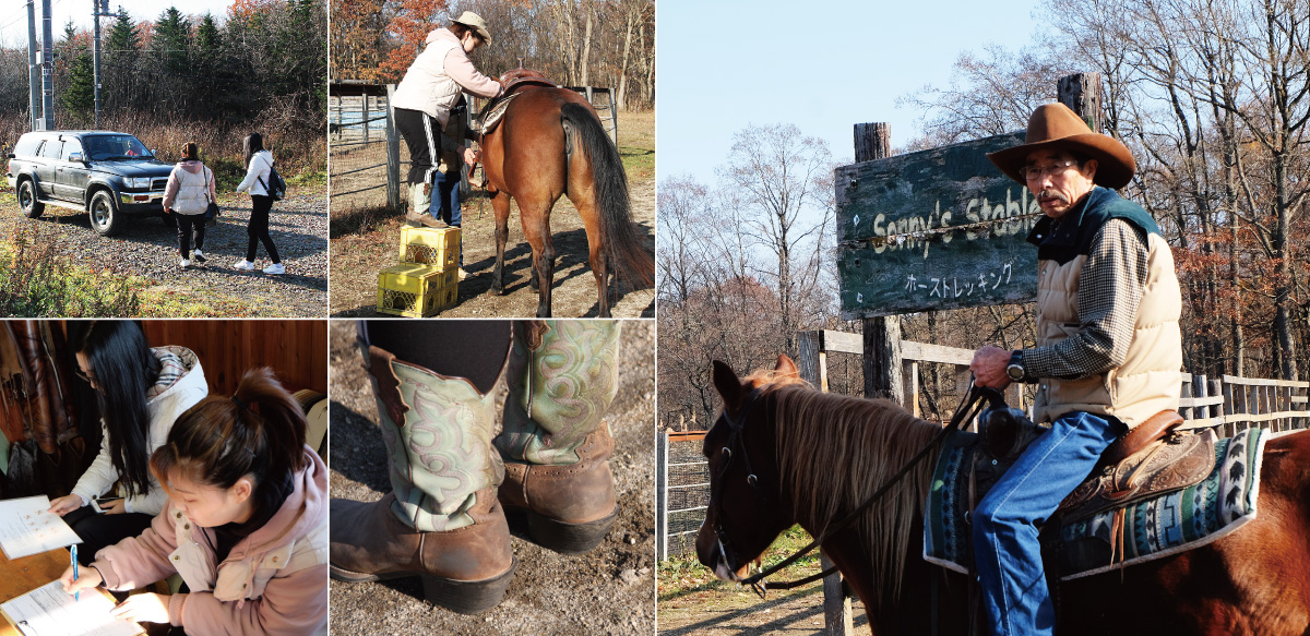 Sunny's Stable