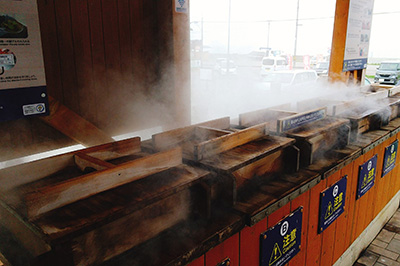 Hot Spring Steaming Corner,Ȫʳ
