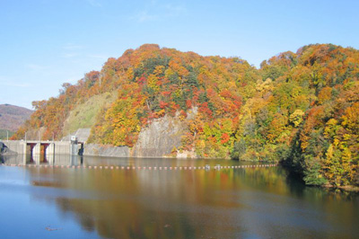 Torizaki Hakkei,˾