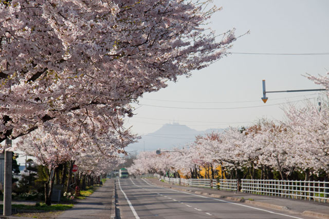 hakodate_hokuto2.jpg