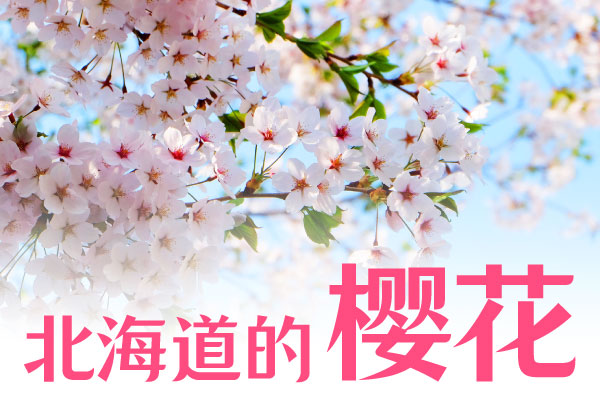 ��������ӣ���ؼ�ӣ����ʤ·�ͻ�����