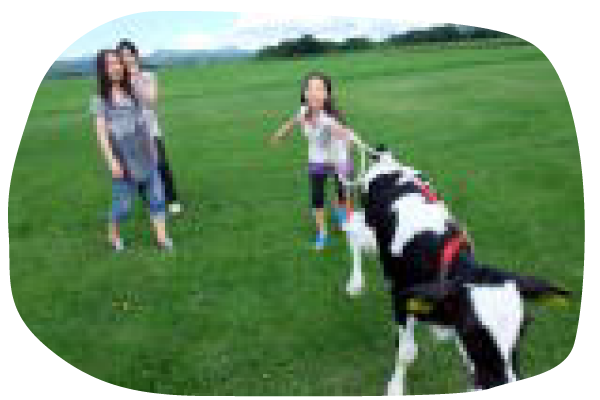 wataken_2_11.png