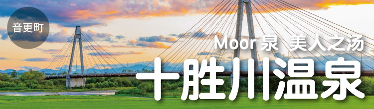 ʮʤȪ