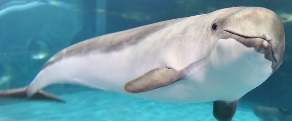 小樽水族馆