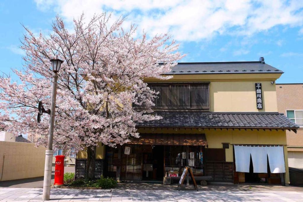 Žֵԭγڣǰ㲶̼óףԼó׶Ľ־òԿȤ͸ԵĽ־ò