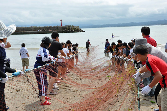 kikonai_jibiki.jpg