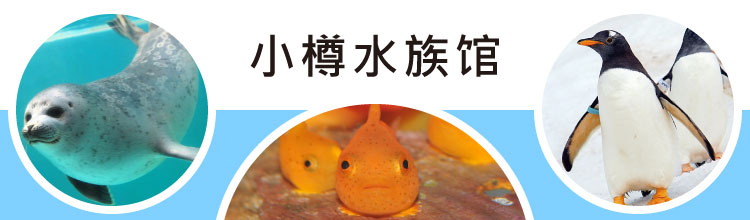 С��ˮ���