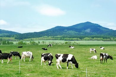 teshikaga-watanabe-farm.jpg